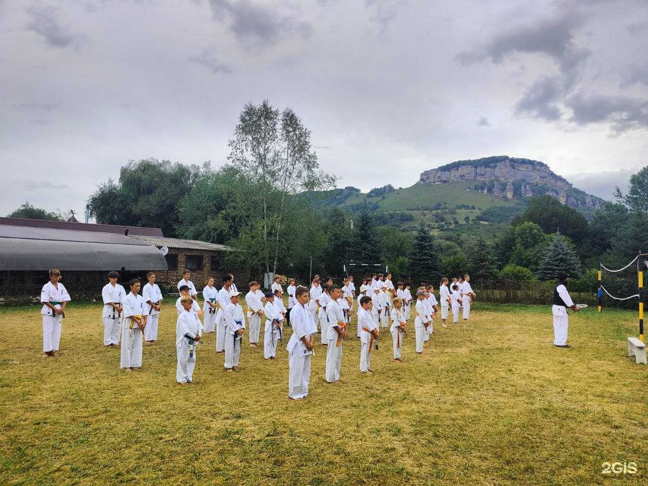 Отзывы на компанию Кинтаро в Краснодаре c фото