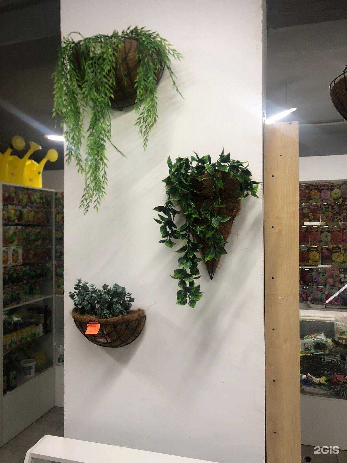 Отзывы на компанию Бакса в г. Уфа c фото