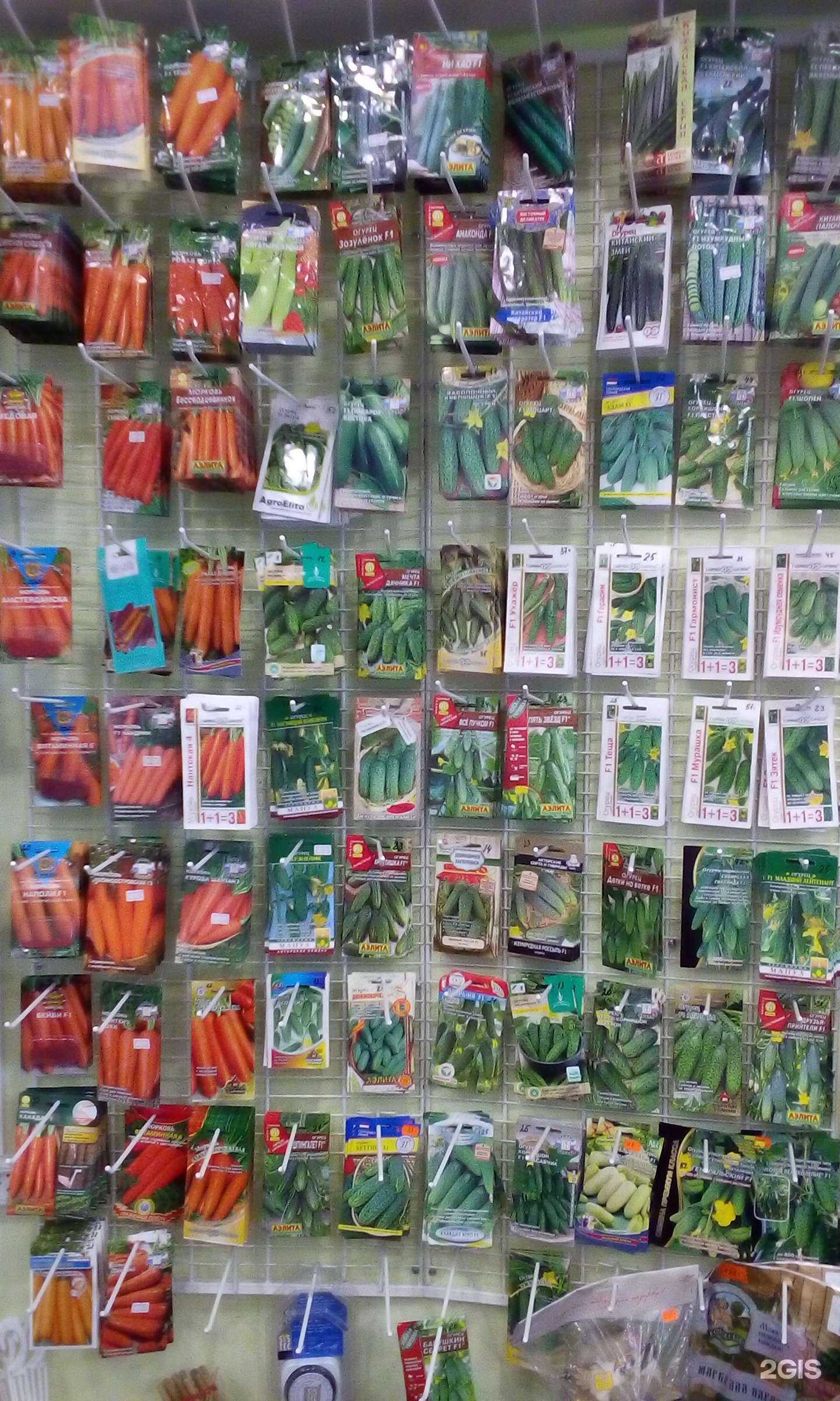 Отзывы на компанию Зоосад 18 в Ижевске c фото