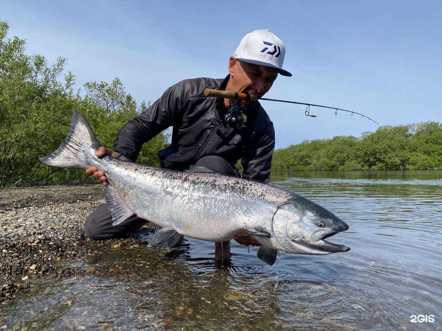 Отзывы на компанию Большая река в Петропавловске-Камчатском c фото