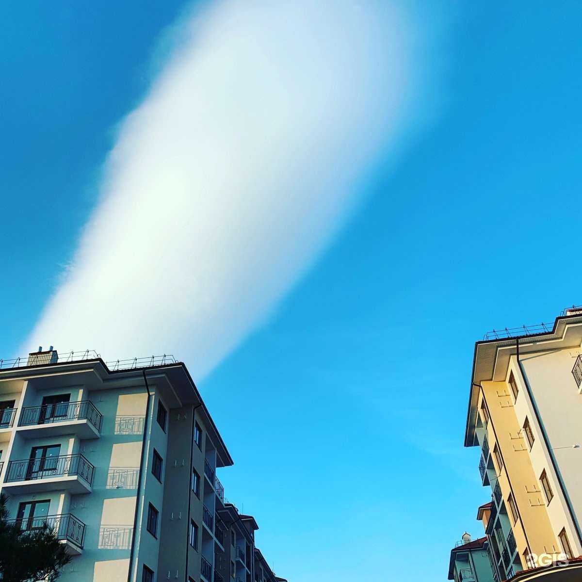 Отзывы на компанию Newton Academy в Геленджике c фото - фотография 2 из 2