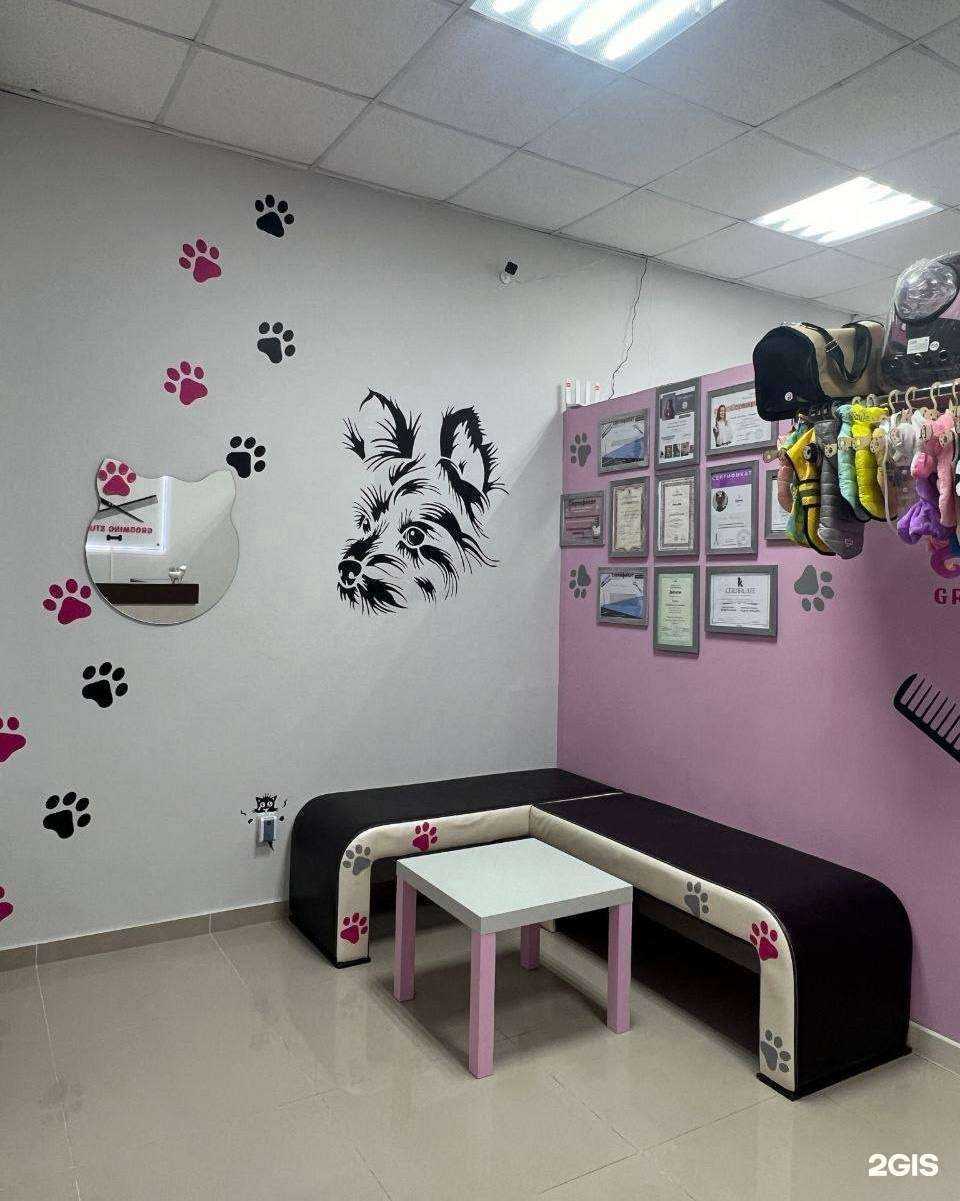 Отзывы на компанию Лапки в Ессентуках c фото