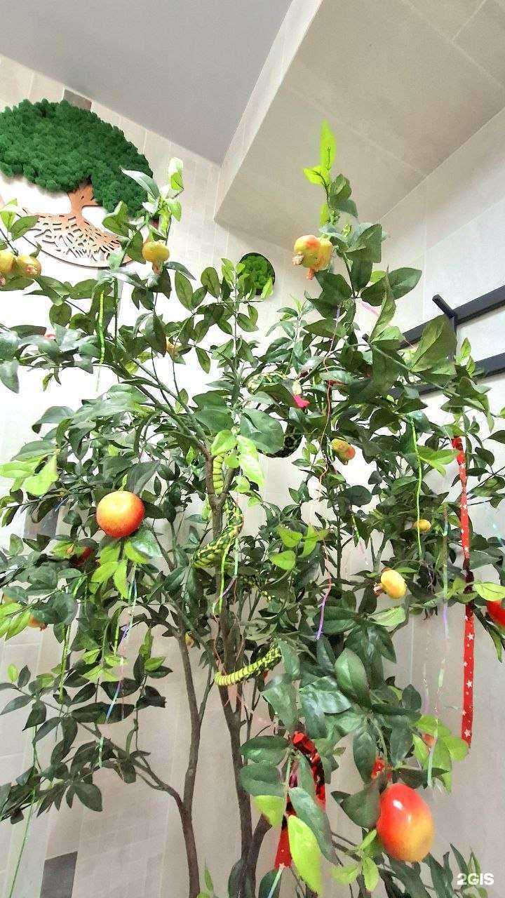 Отзывы на компанию Олимп в г. Нижний Тагил c фото