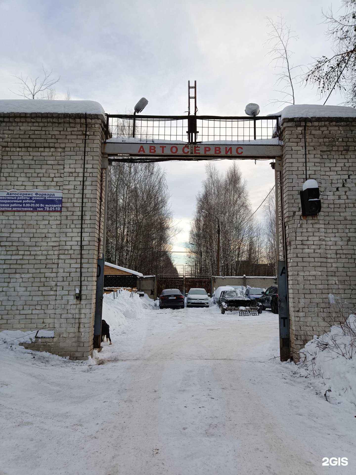 Отзывы на компанию Форвард в Йошкар-Оле c фото