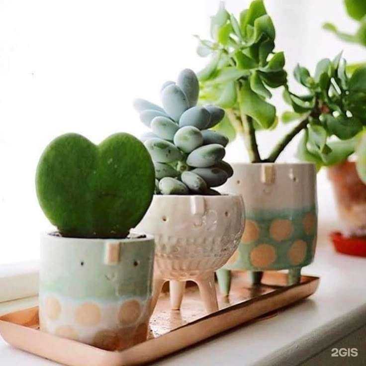 Отзывы на компанию Компот в Мегионе c фото