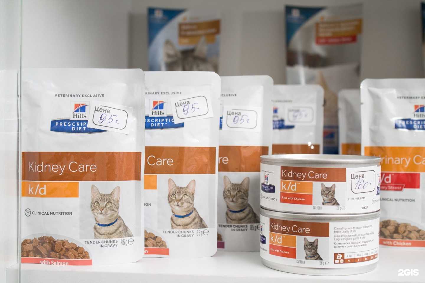 Отзывы на компанию Три кота в Томске c фото