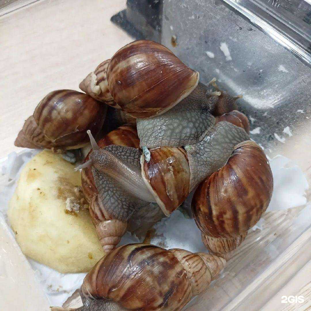 Отзывы на компанию Зоомагазин в Ульяновске c фото