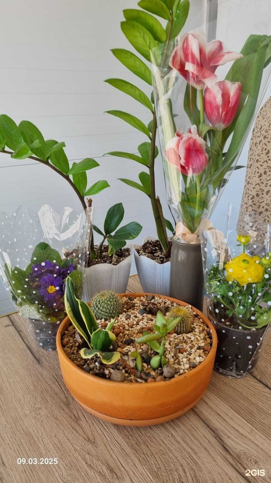 Отзывы на компанию Don Pepperoni в Краснодаре c фото