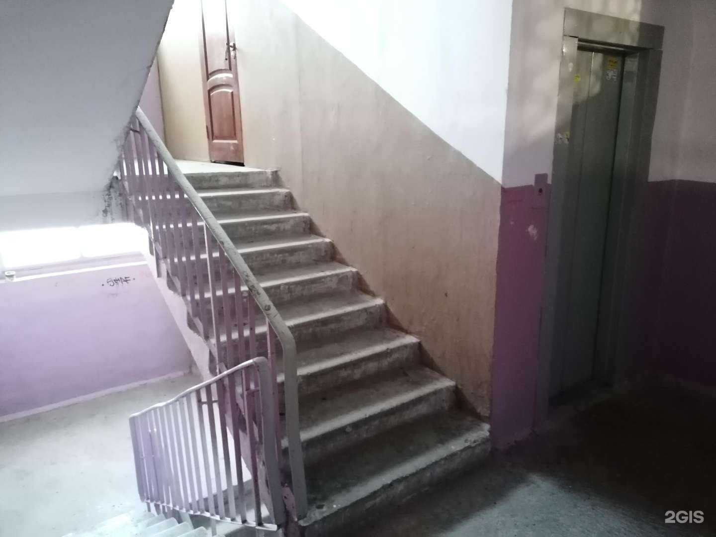 Отзывы на компанию Доктор Вет в Ростове-на-Дону c фото - фотография 2 из 2