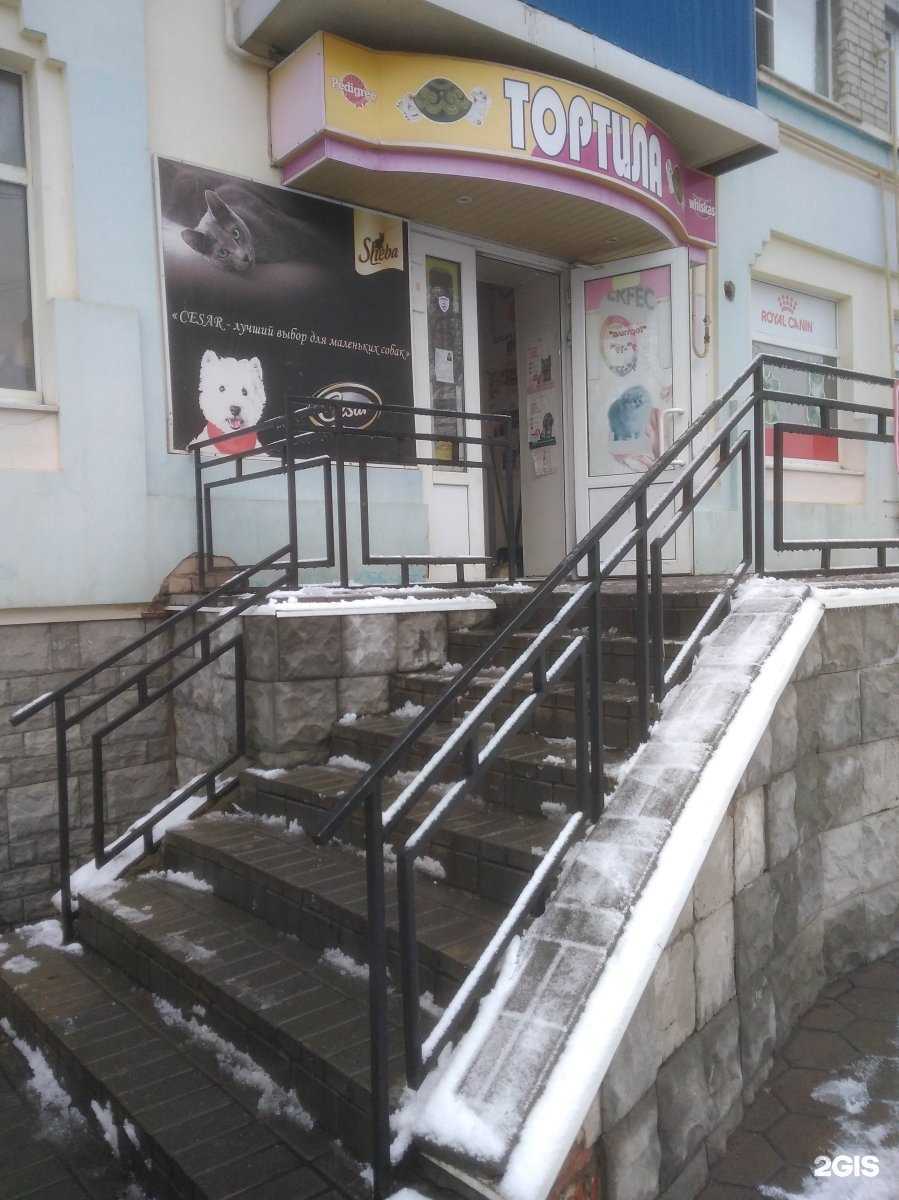 Отзывы на компанию Тортила в Тамбове c фото