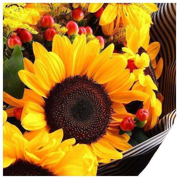 Отзывы на компанию Петарда в Краснодаре c фото