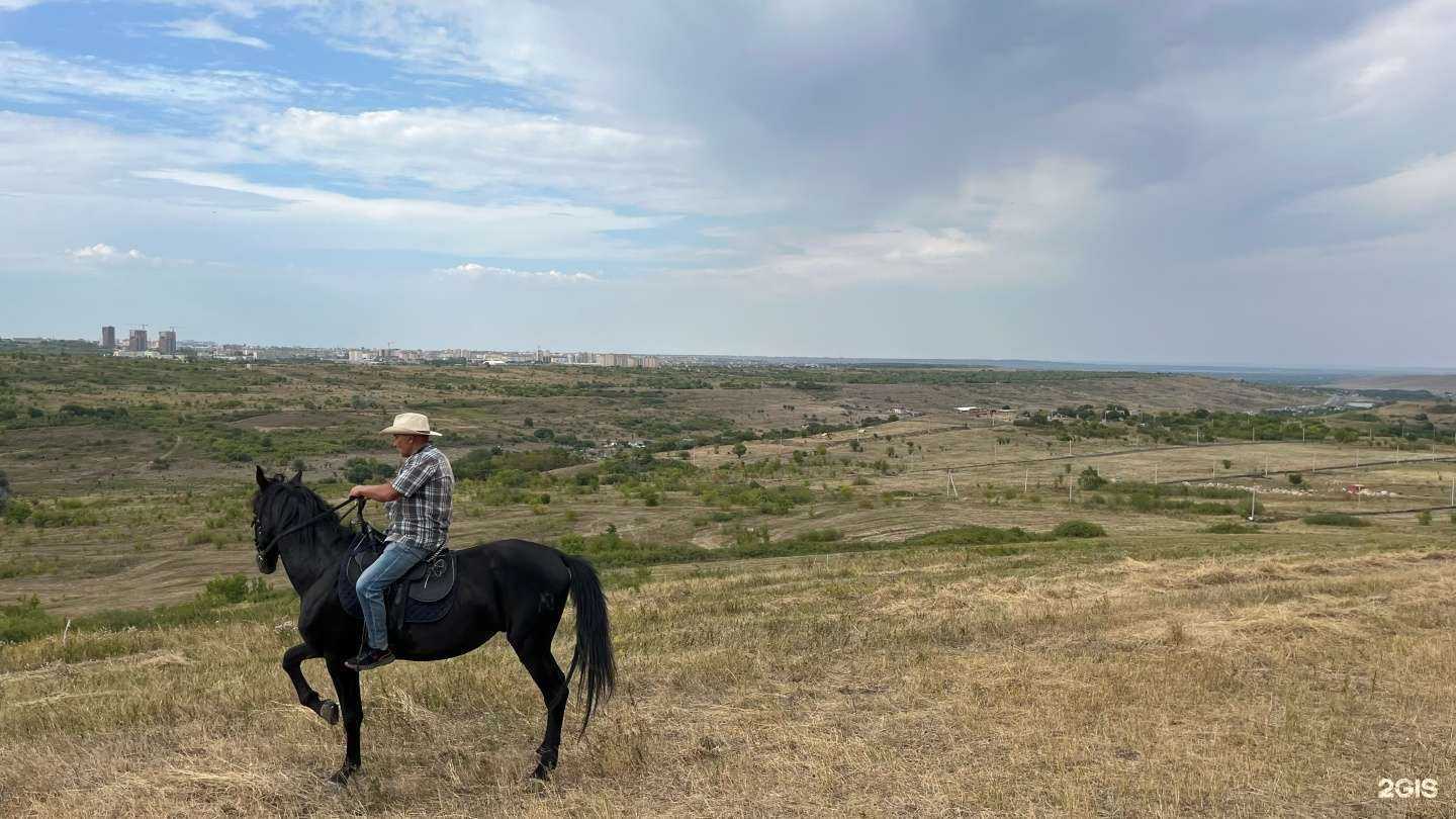 Отзывы на компанию Всадник в Ставрополе c фото