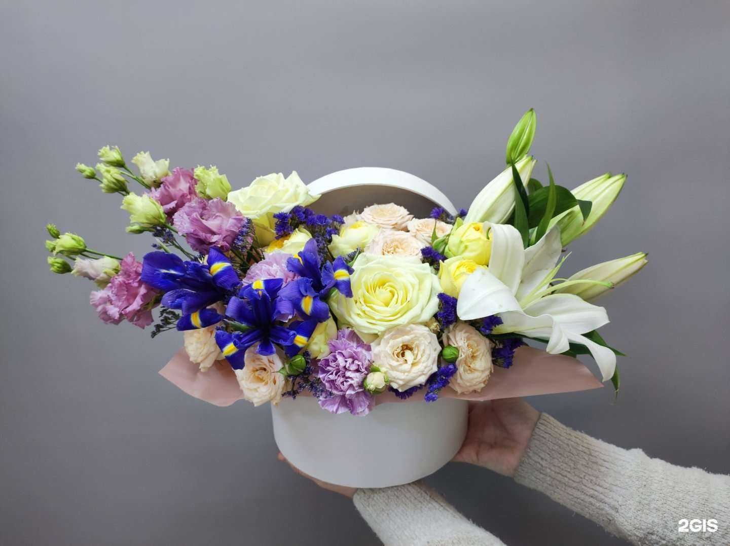 Отзывы на компанию Amsterdam в Владимире c фото