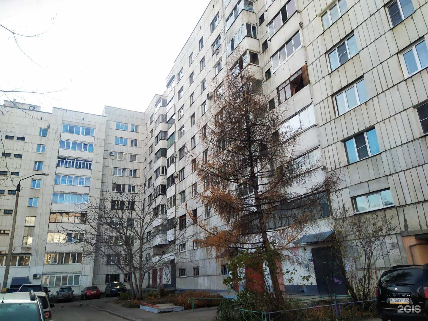 Отзывы на компанию Денди&леди в Барнауле c фото - фотография 2 из 2