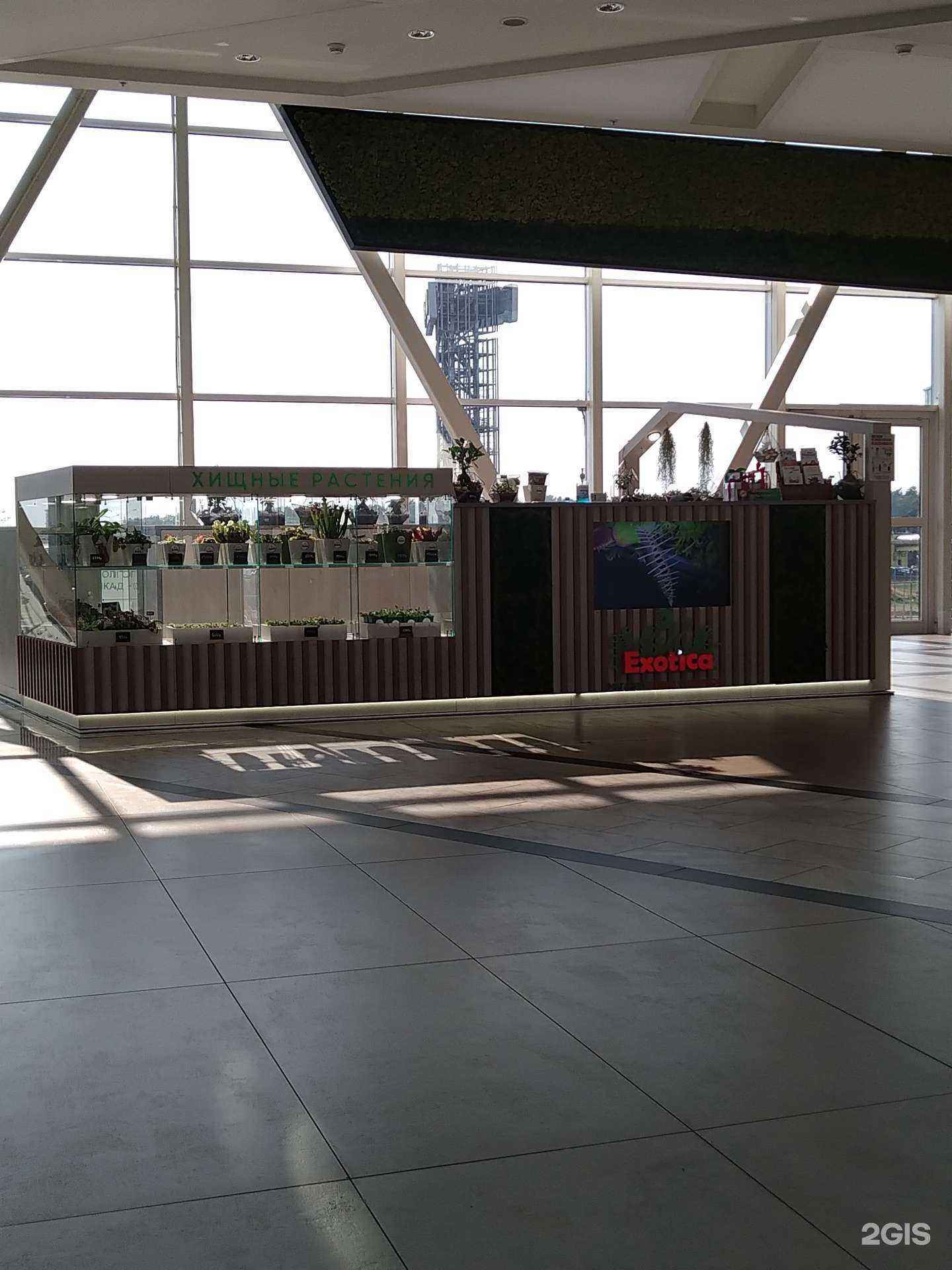 Отзывы на компанию Exotica в г. Котельники c фото