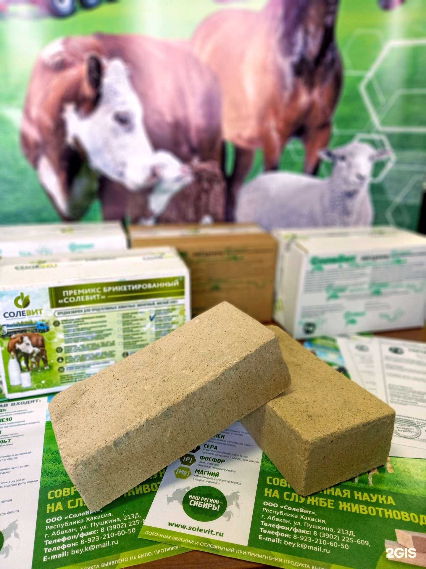 Отзывы на компанию Солевит в г. Абакан c фото