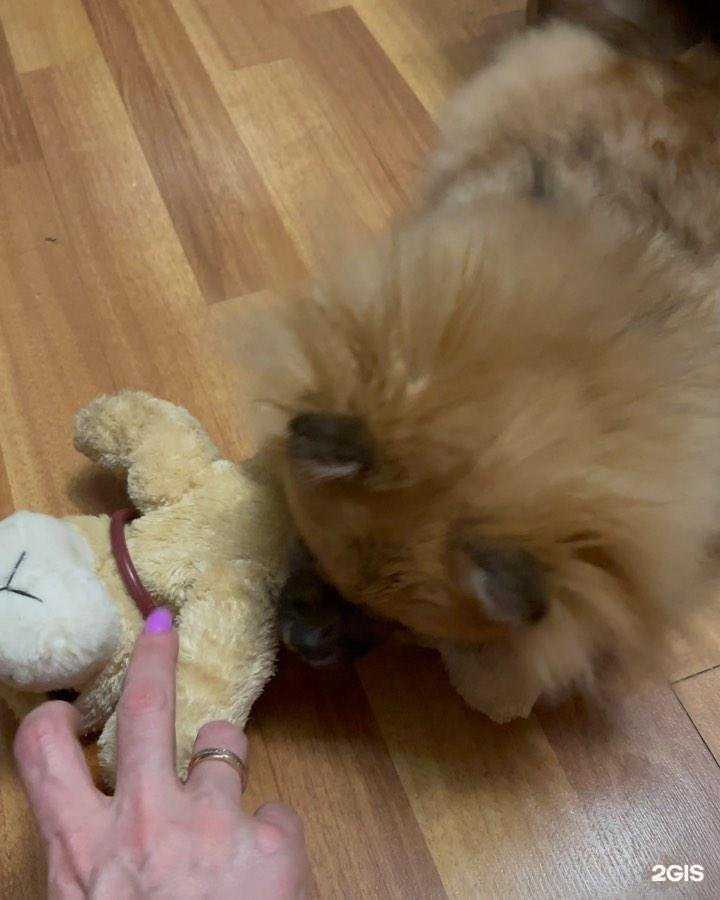 Отзывы на компанию Кеша в Смоленске c фото