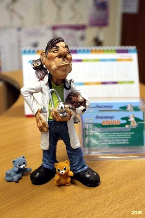 Отзывы на компанию Доктор Котов в Твери c фото