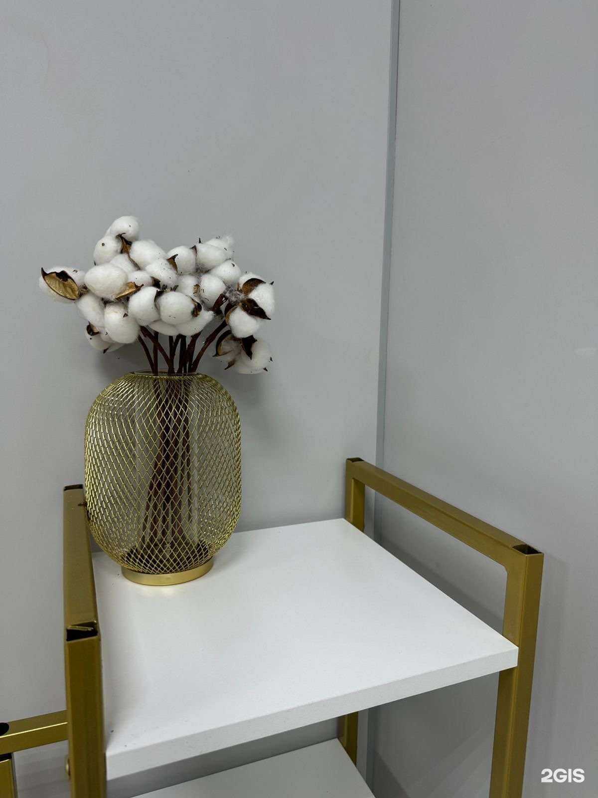 Отзывы на компанию Dream body в Троицке c фото