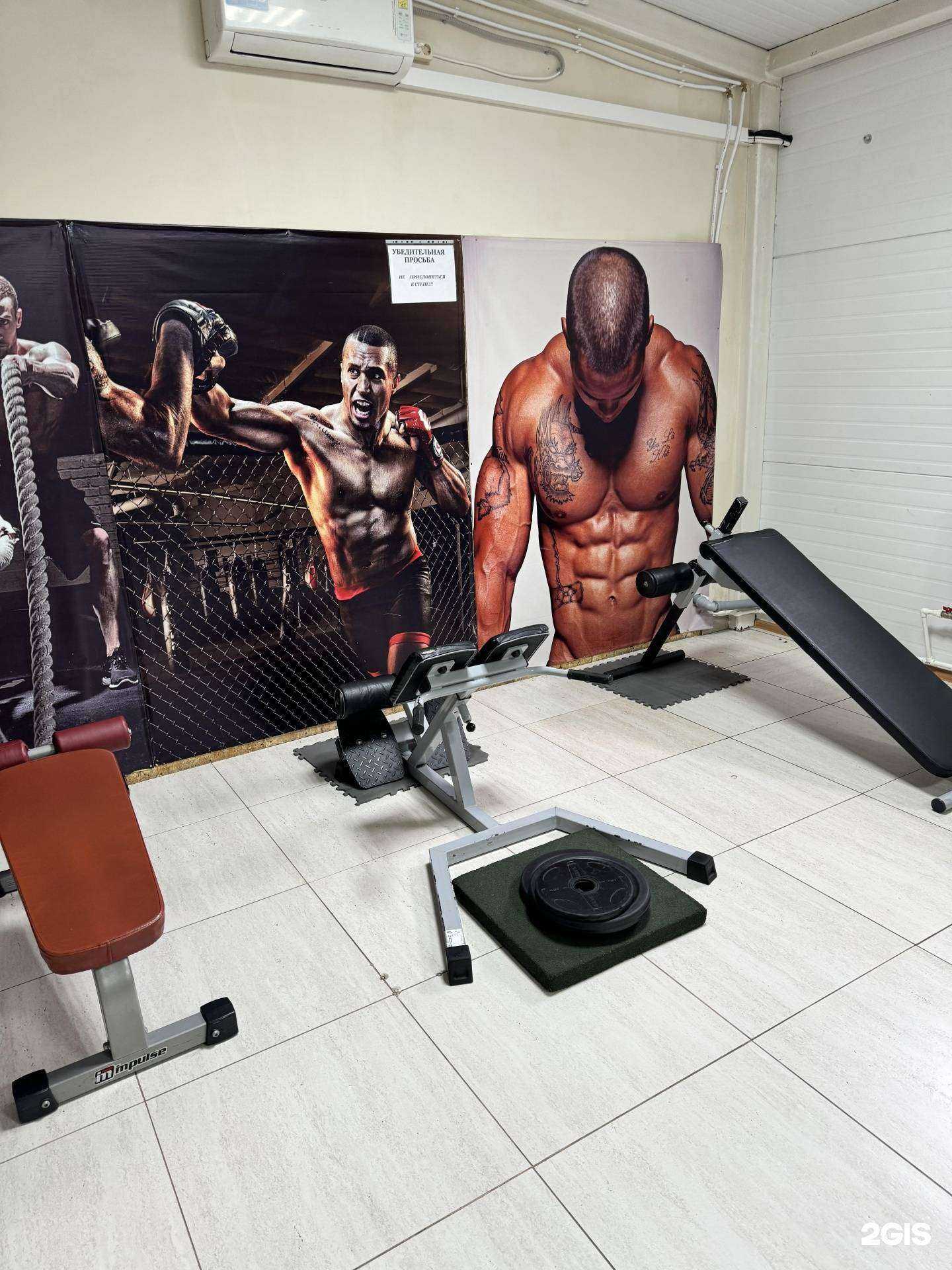 Отзывы на компанию Beast Fitness в Новосибирске c фото