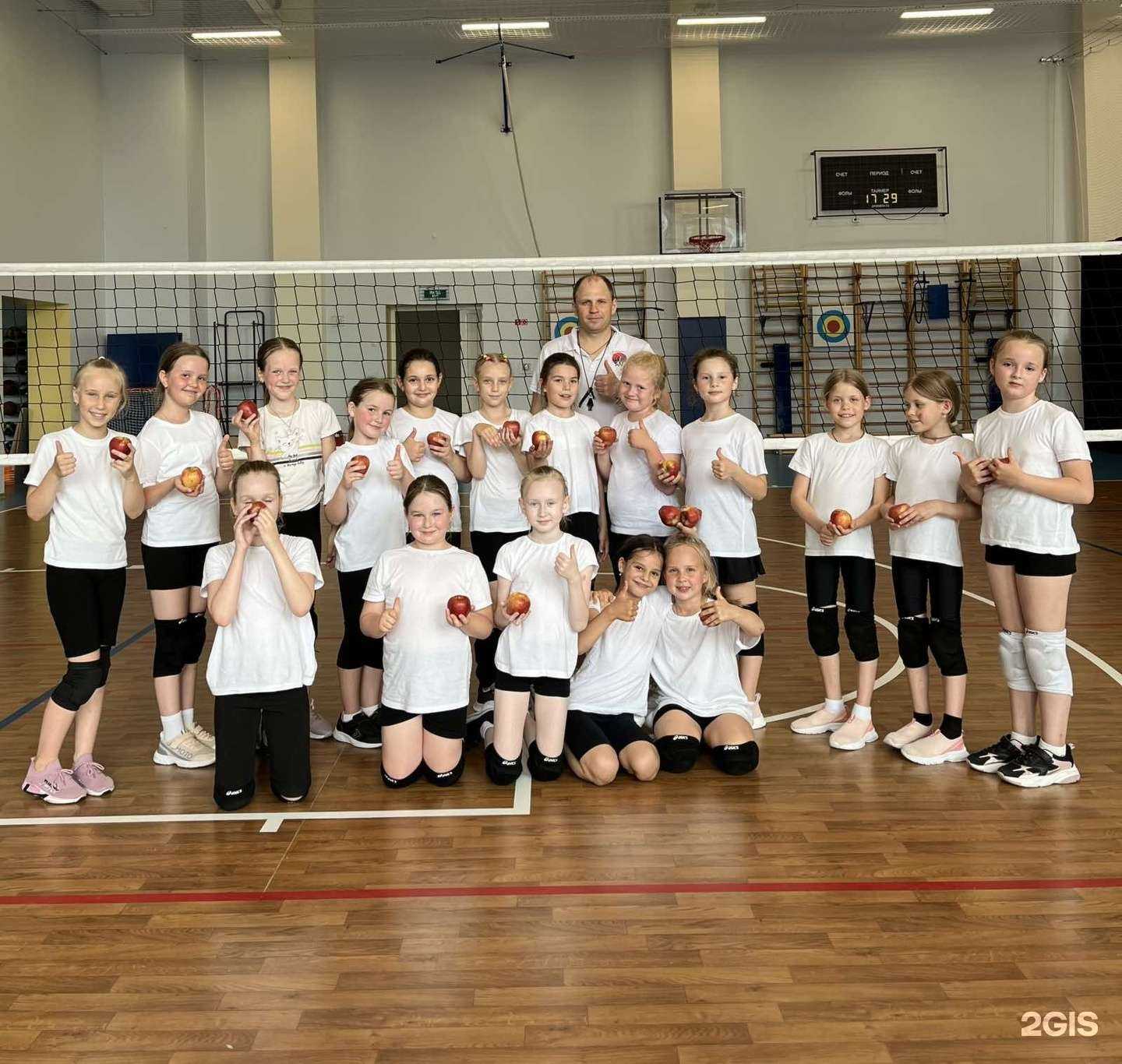 Отзывы на компанию Академия волейбола Эйс в г. Тюмень c фото
