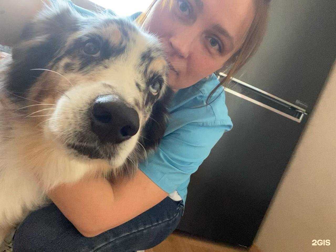 Отзывы на компанию Vet911help в г. Архангельск c фото