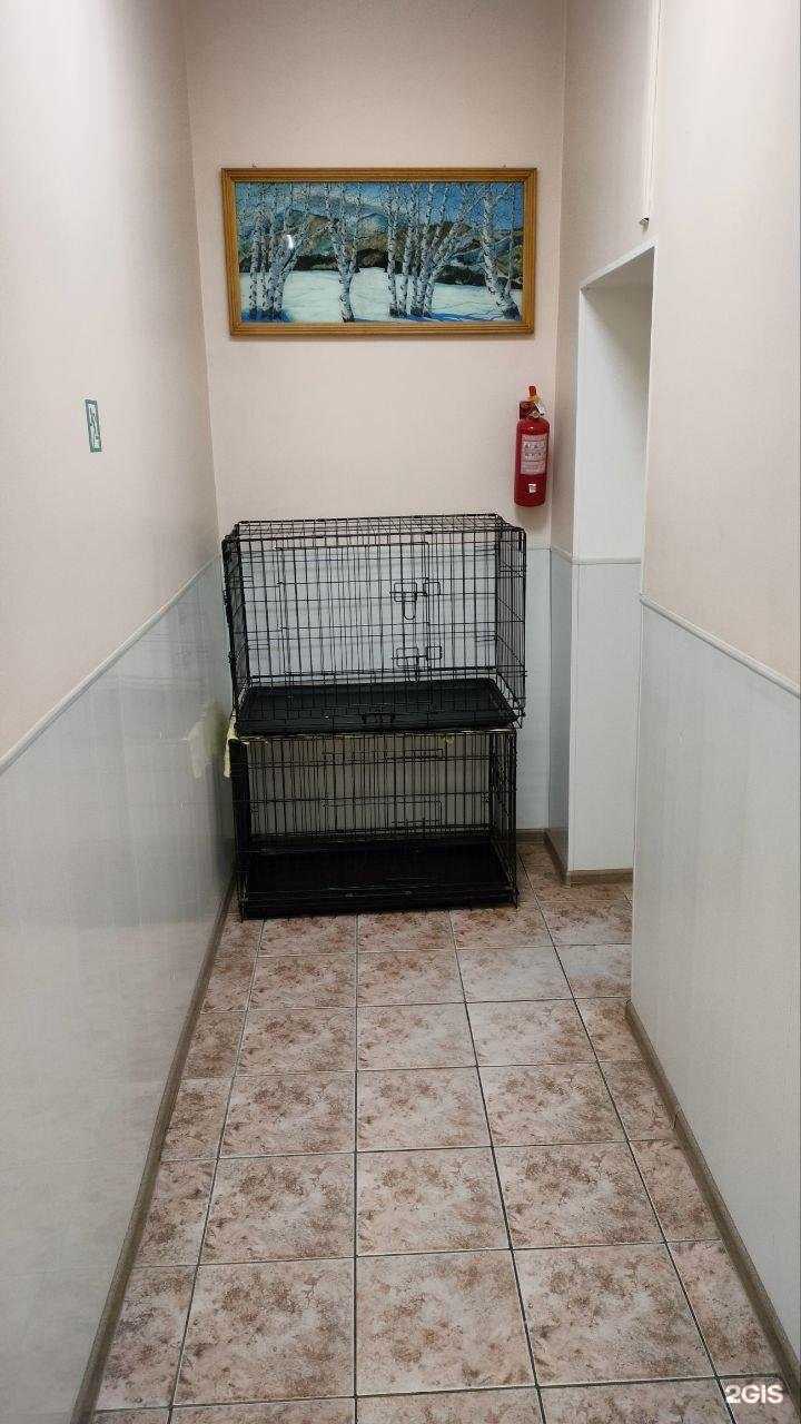 Отзывы на компанию Айболит в Находке c фото