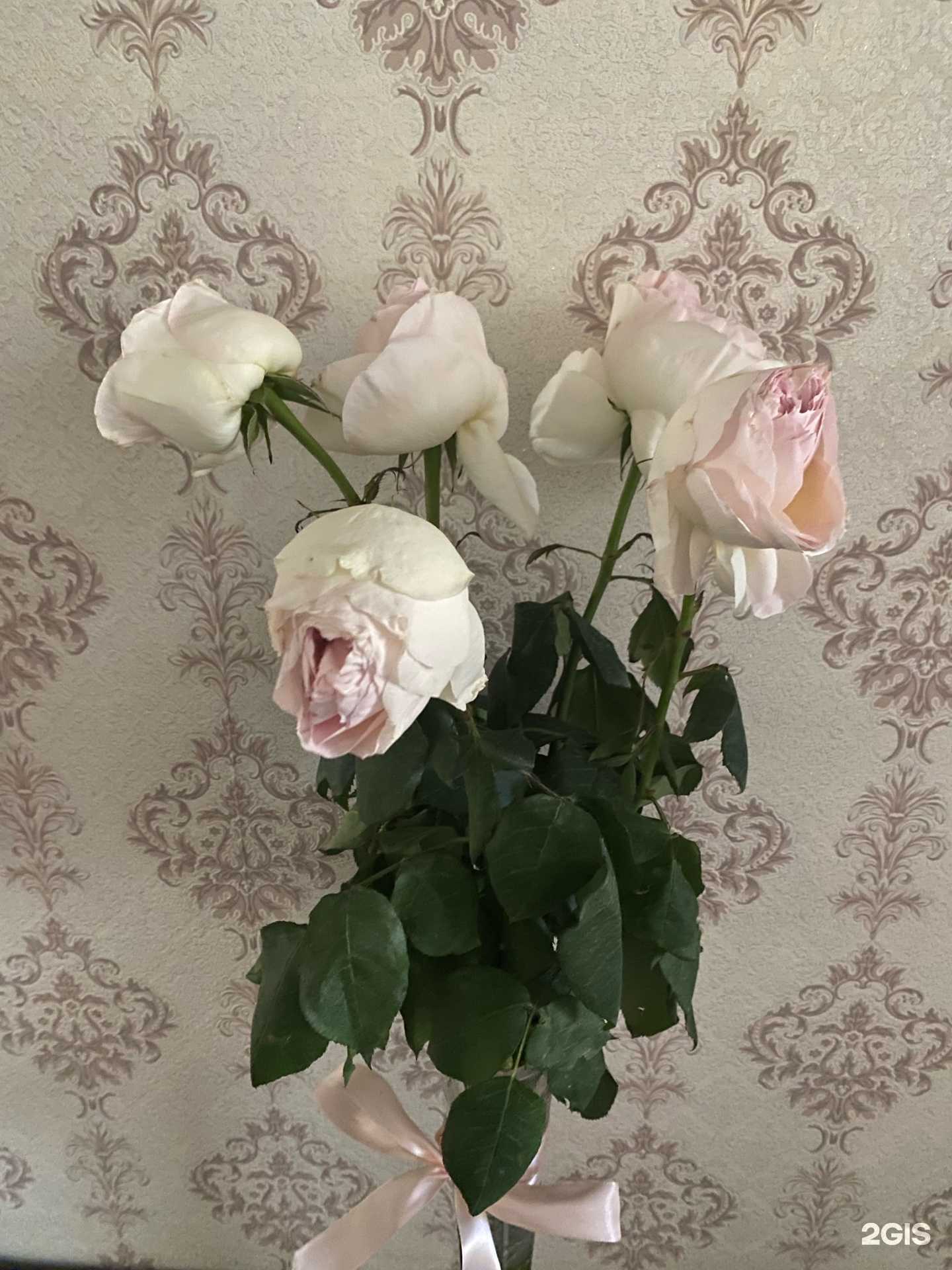 Отзывы на компанию Орхидея в г. Екатеринбург c фото