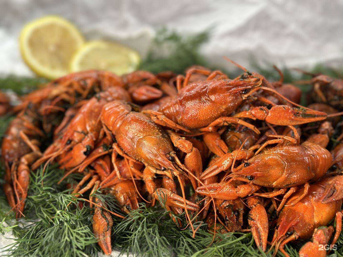 Отзывы на компанию B&Berry в г. Казань c фото