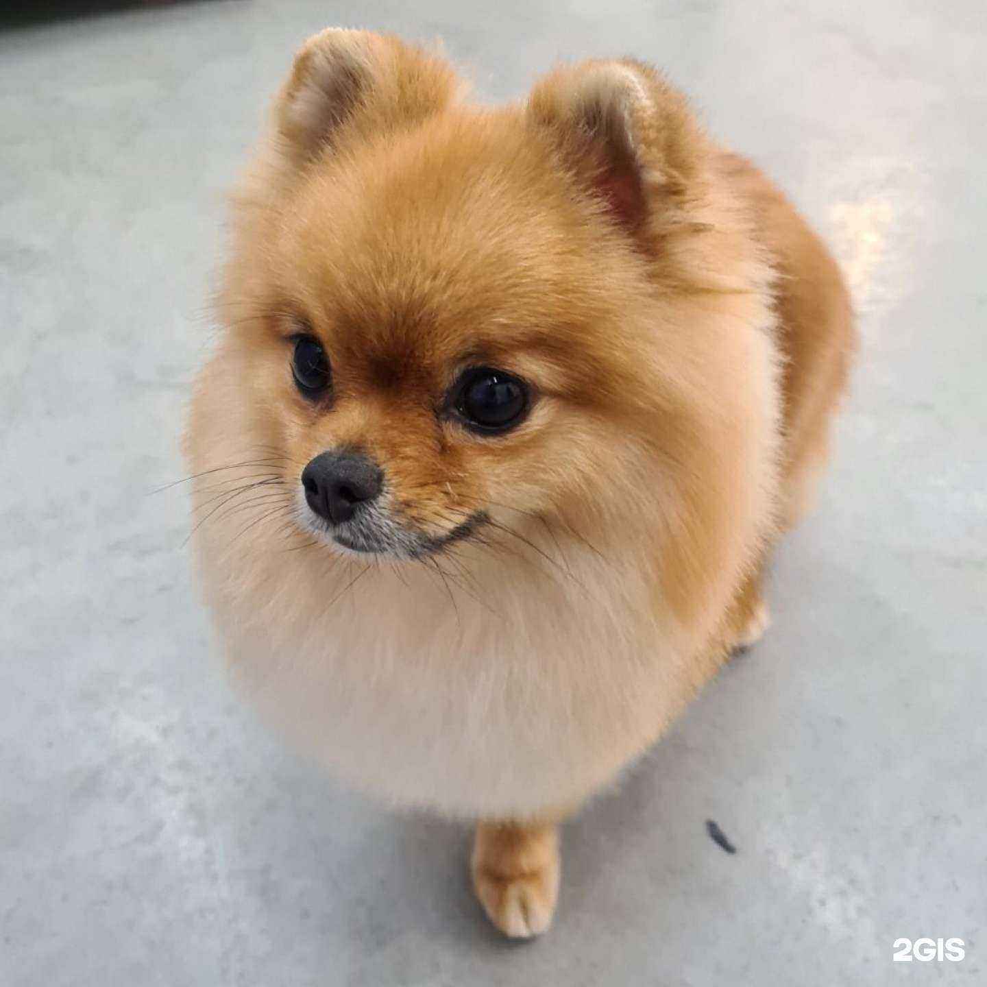 Отзывы на компанию Арчи в г. Хабаровск c фото