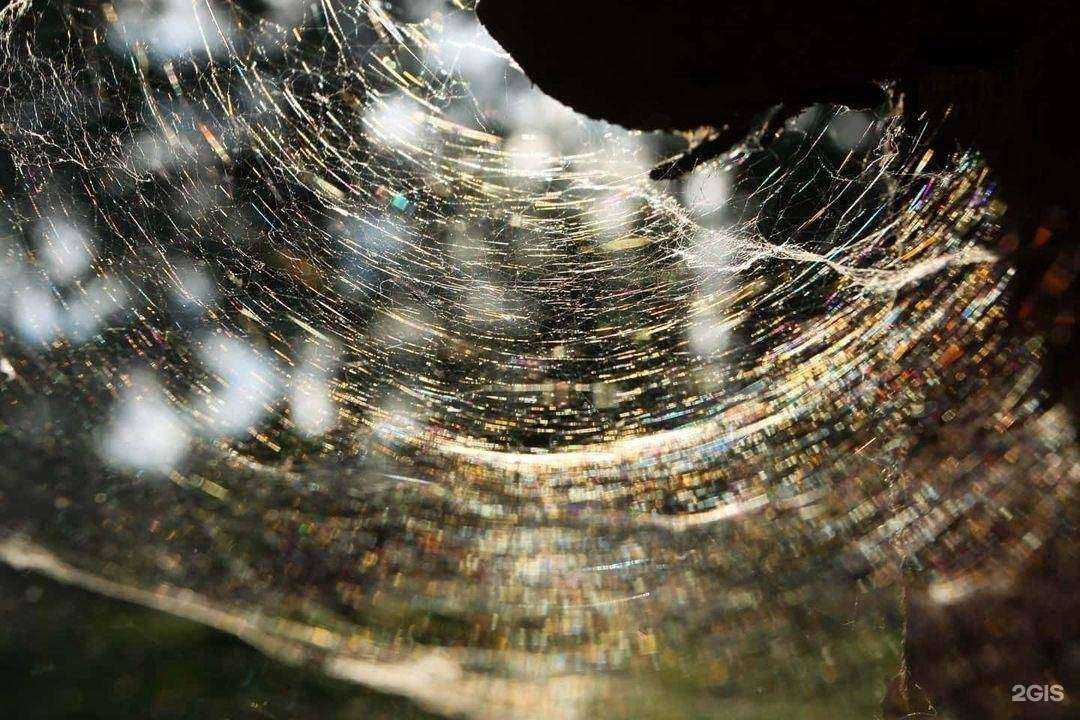 Отзывы на компанию Эколого-биологический лицей в Архангельске c фото