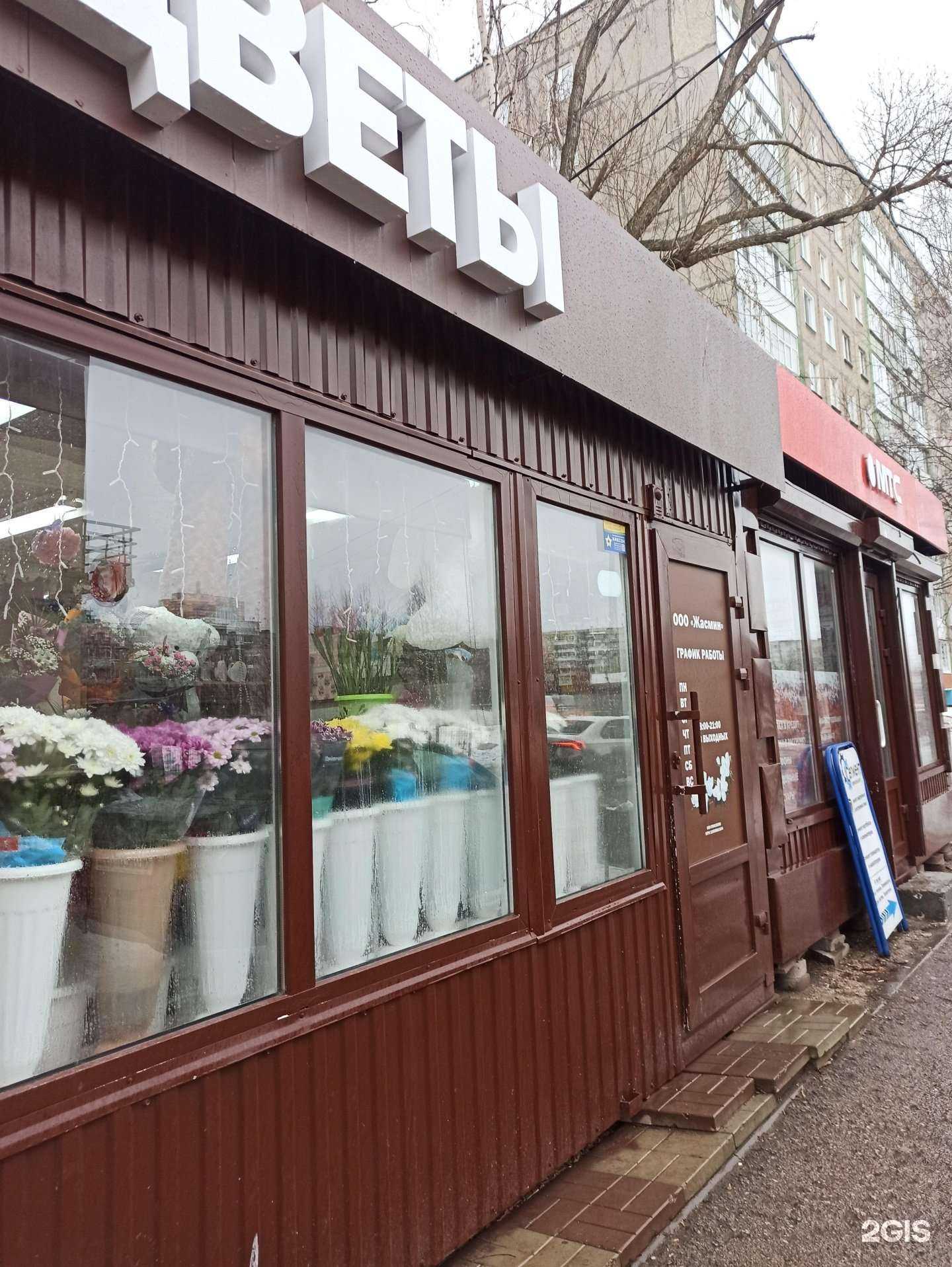 Отзывы на компанию Жасмин  в г. Пермь c фото