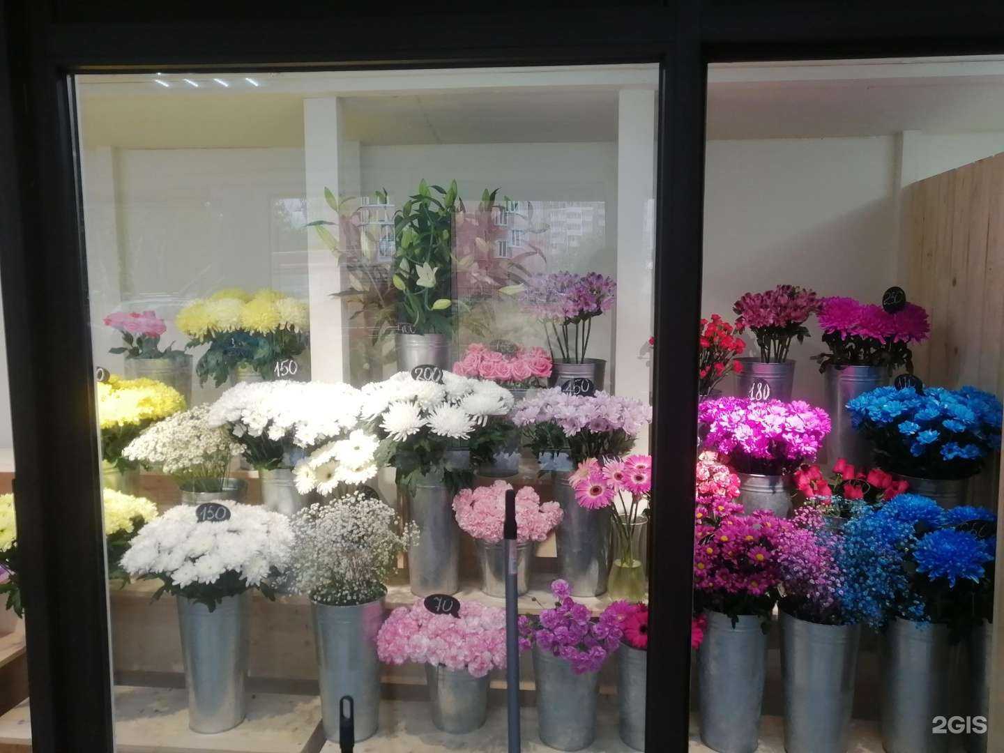 Отзывы на компанию Цветы для Вас в Вологде c фото