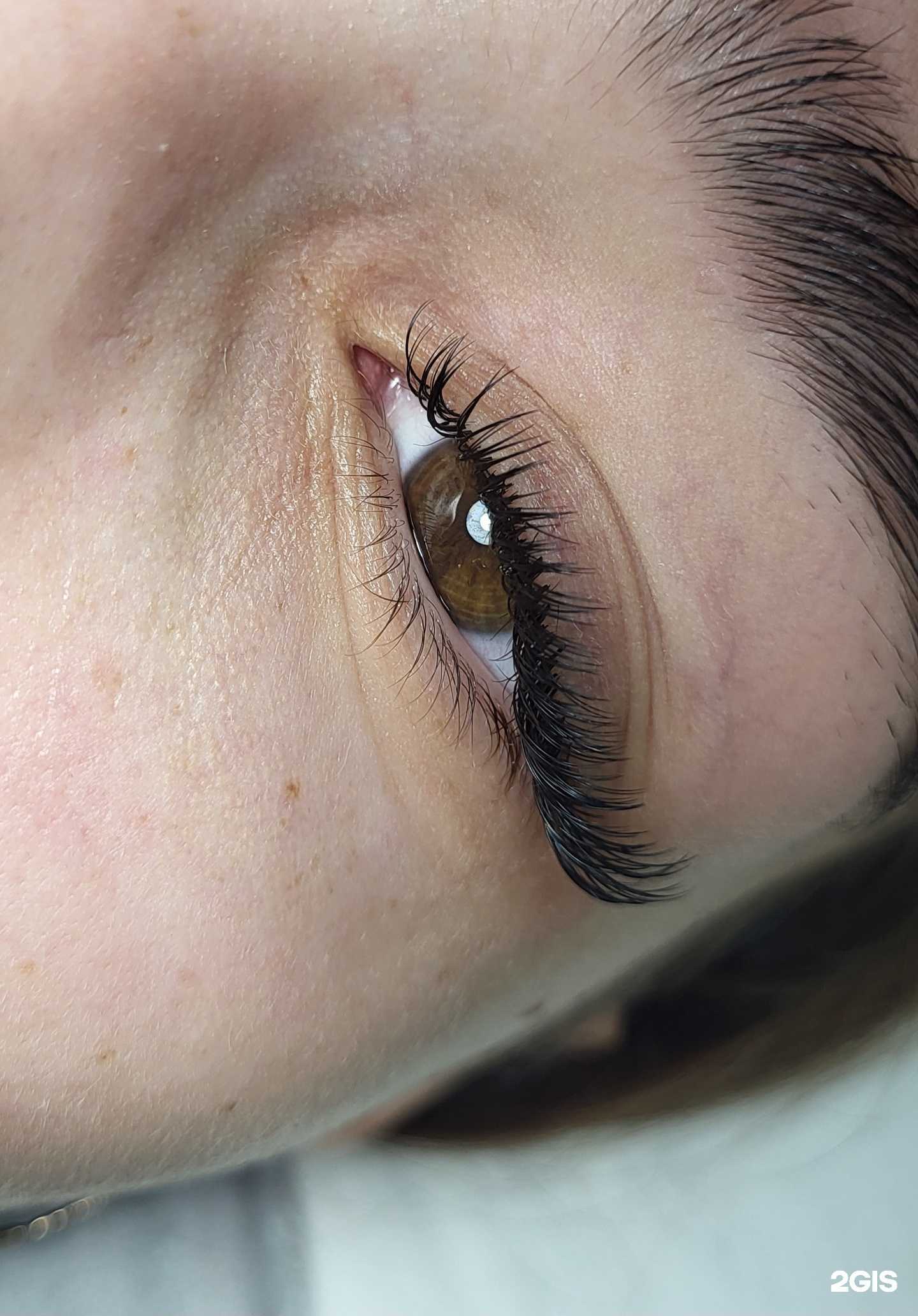 Отзывы на компанию Womens territory в Сыктывкаре c фото