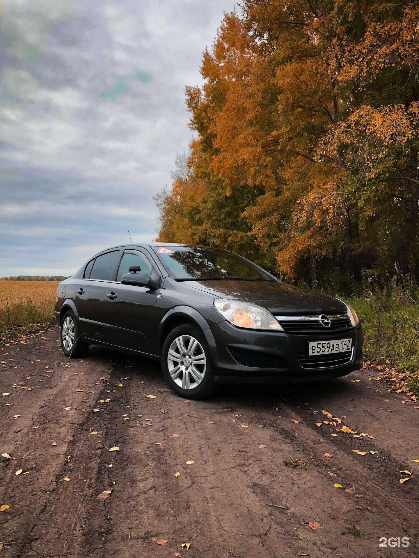 Отзывы на компанию Дорожная академия в г. Кемерово c фото