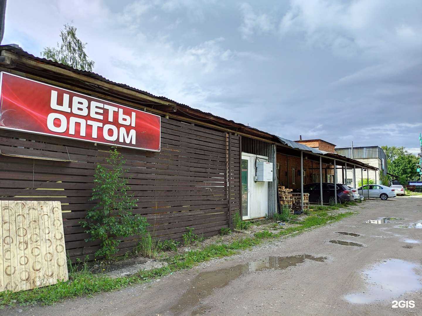 Отзывы на компанию Росцвет в Королёве c фото - фотография 2 из 2