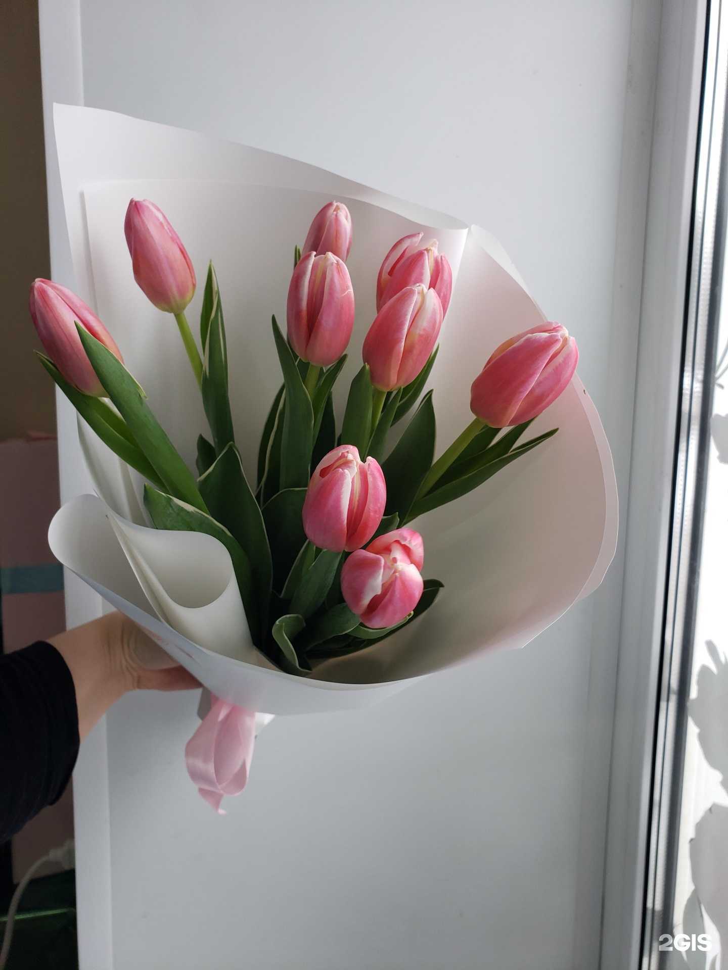 Отзывы на компанию Bloom room в Кирове c фото