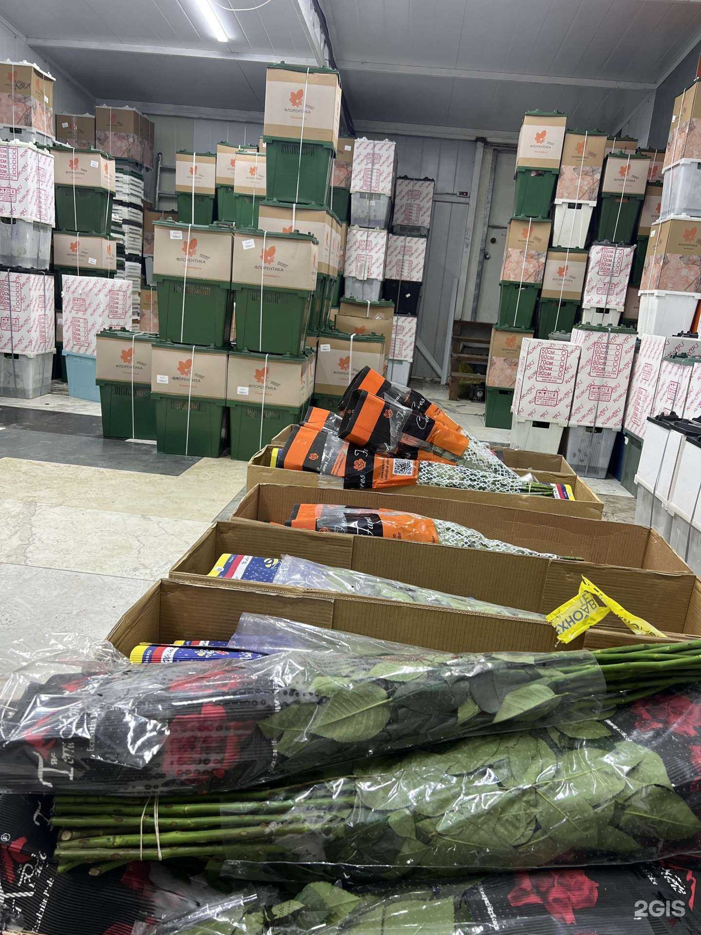 Отзывы на компанию Новый мир в Ростове-на-Дону c фото