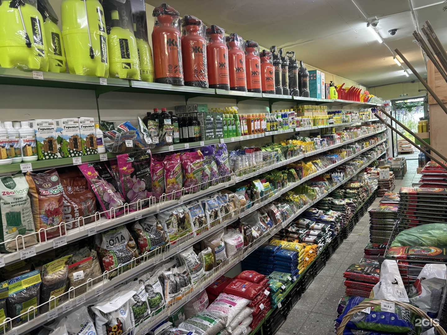 Отзывы на компанию Чиполлино в г. Тольятти c фото