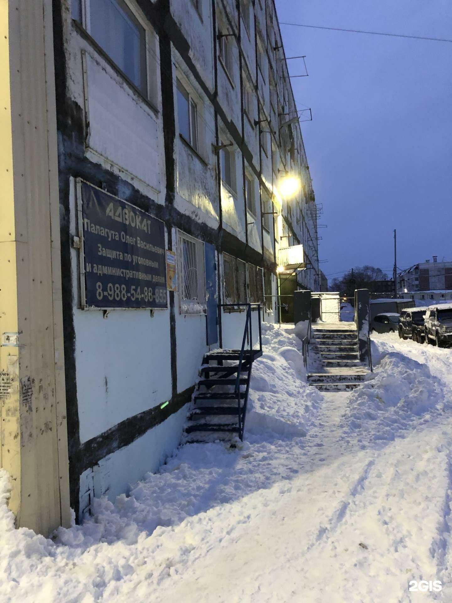 Отзывы на компанию Салон груминга животных в г. Петропавловск-Камчатский c фото