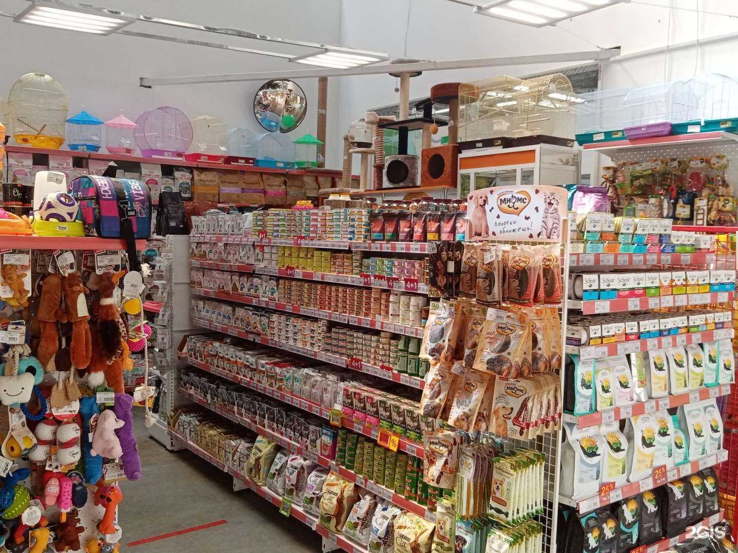 Отзывы на компанию Академия домашних животных в г. Самара c фото