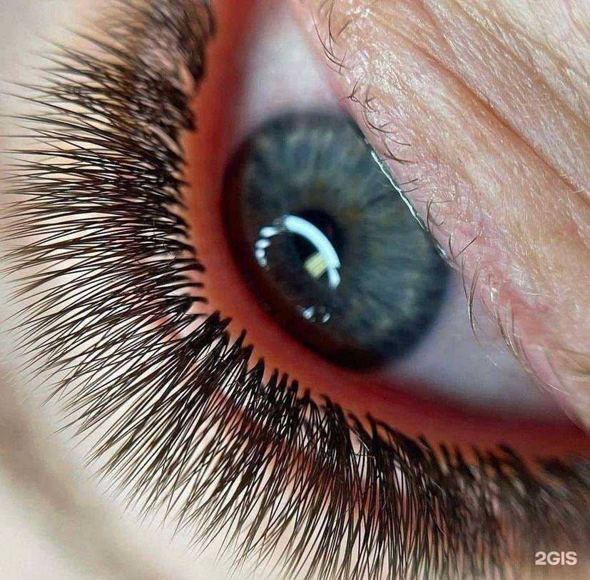 Отзывы на компанию Open Look в Ростове-на-Дону c фото