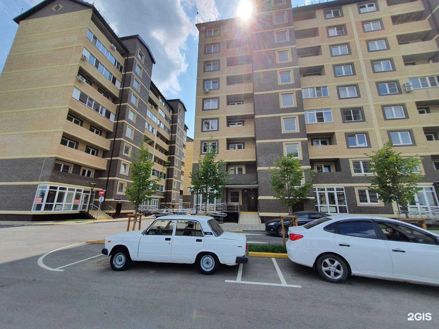 Отзывы на компанию Палитра Знаний в Краснодаре c фото - фотография 2 из 2