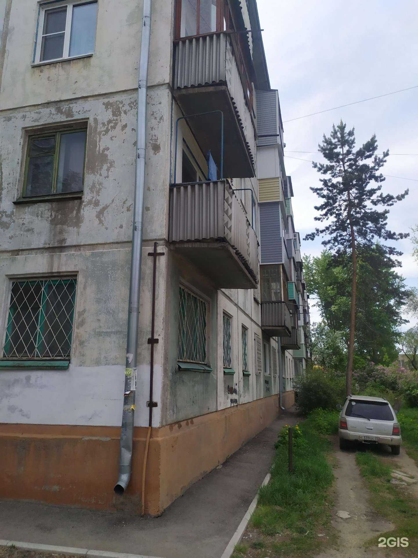 Отзывы на компанию Zooмирово в Рубцовске c фото - фотография 2 из 2