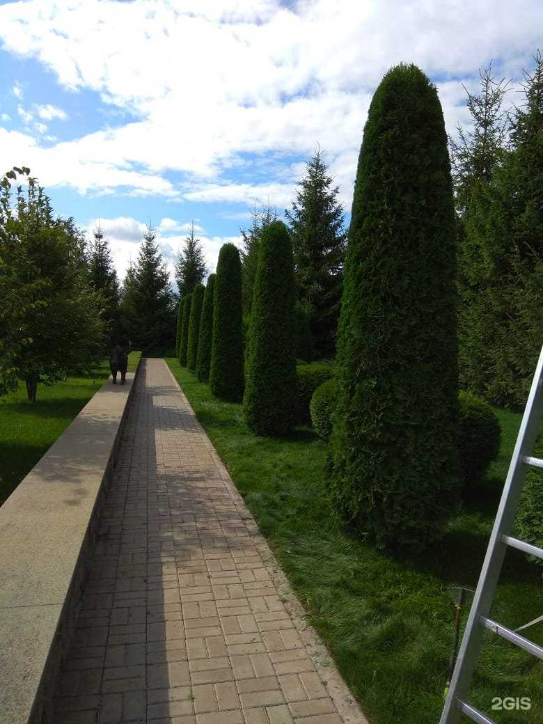 Отзывы на компанию Декор сити в г. Калуга c фото