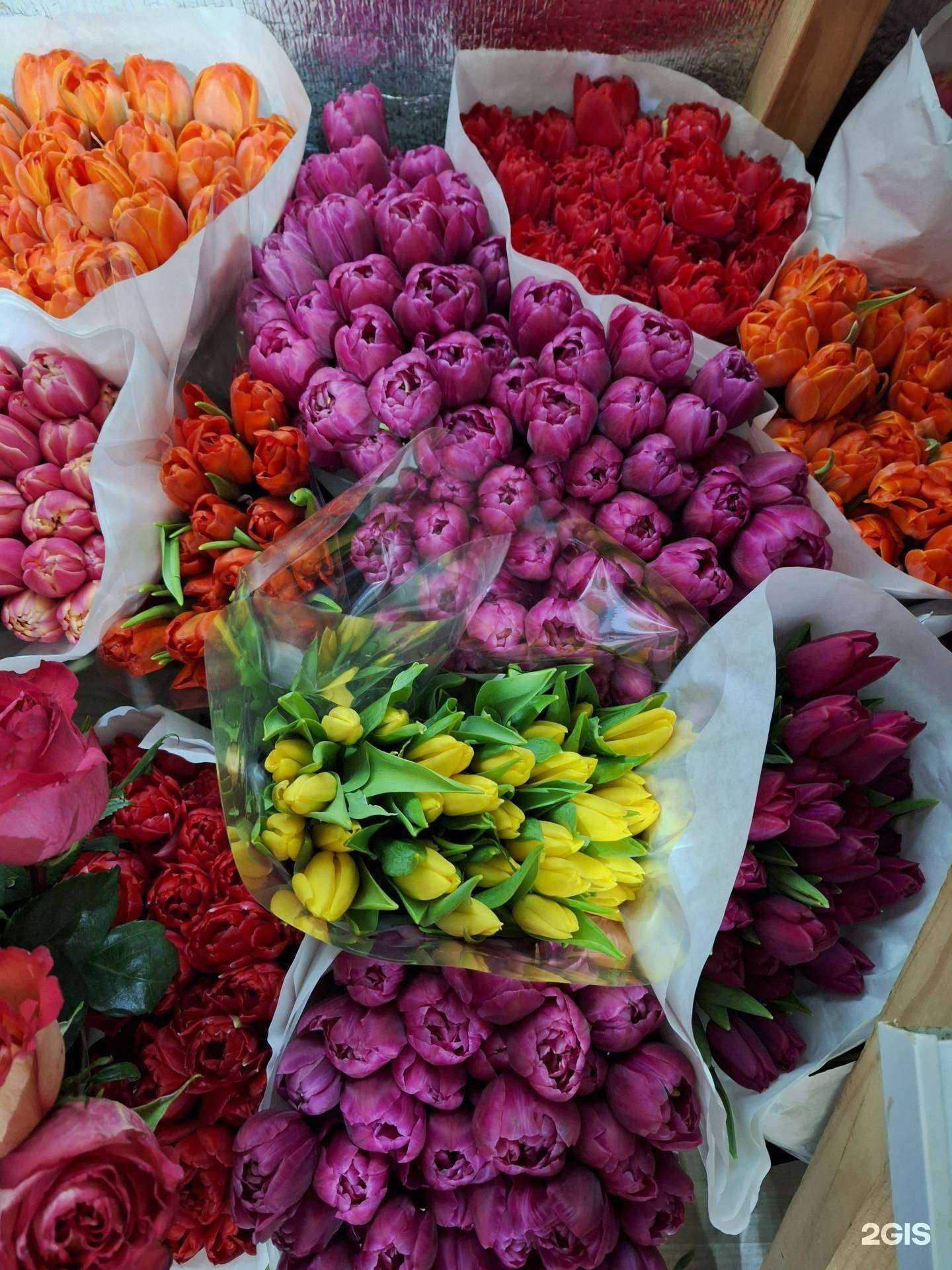 Отзывы на компанию Наш Цветочный в Калининграде c фото