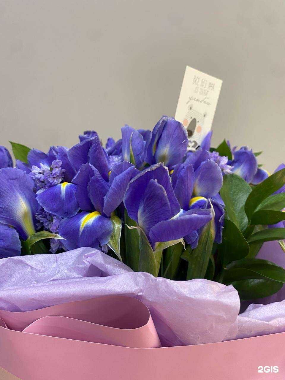 Отзывы на компанию Фрейя в Бийске c фото