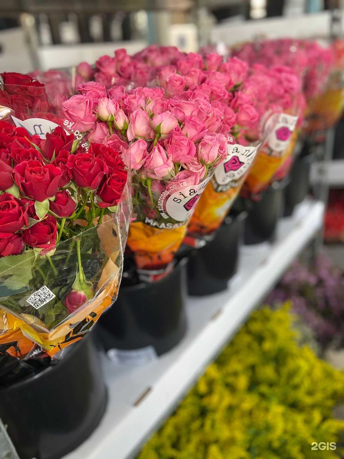 Отзывы на компанию Флорис в г. Барнаул c фото