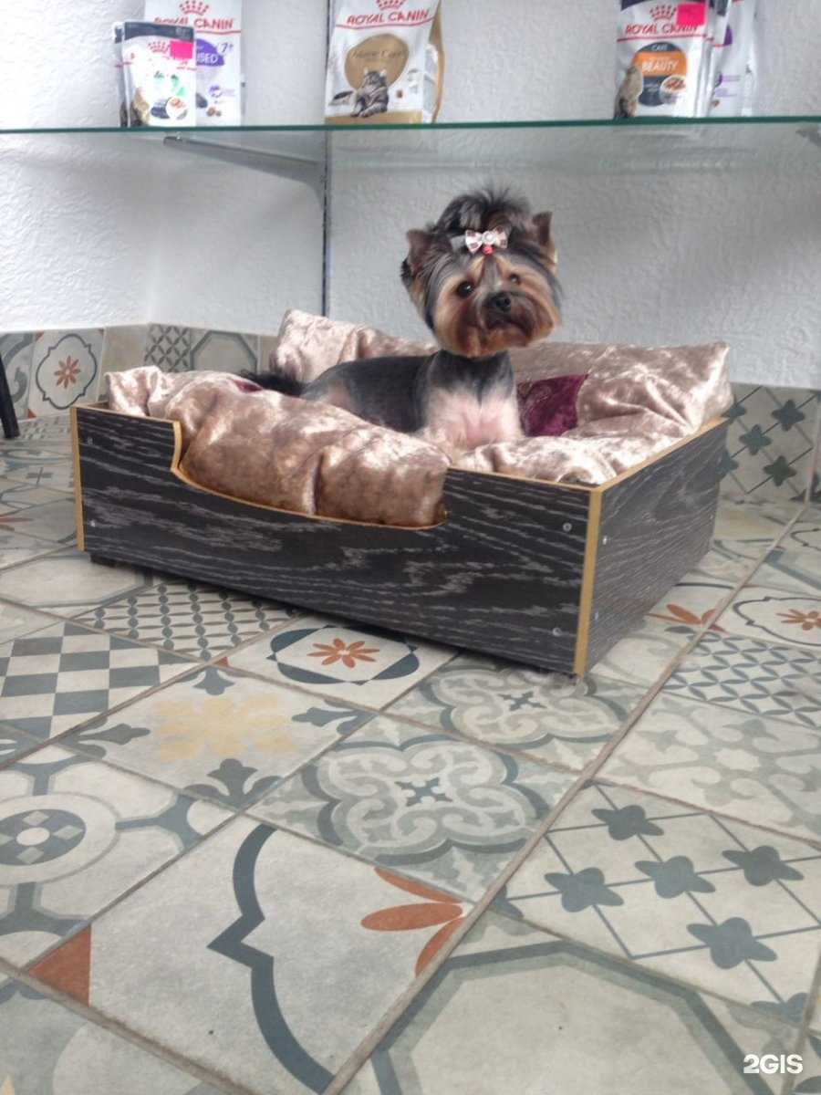 Отзывы на компанию Сити Грум в Кемерове c фото