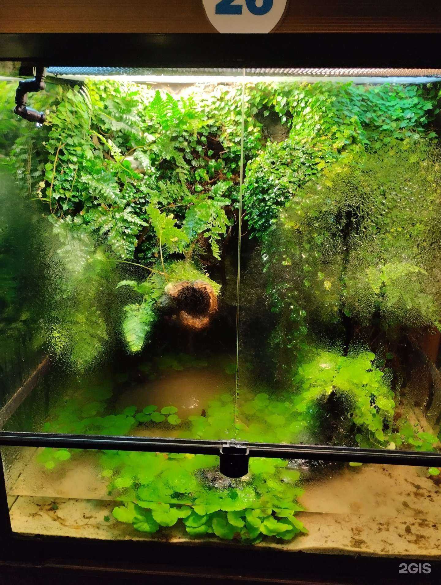 Отзывы на компанию Белая Ворона в Тюмени c фото